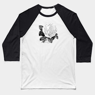 White Rose Vintage Botanical Illustration Baseball T-Shirt